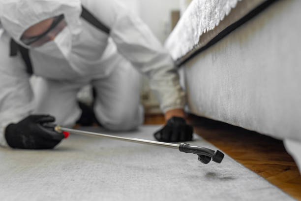 Professional Bed Bug Control technician working in Mount Angel, OR